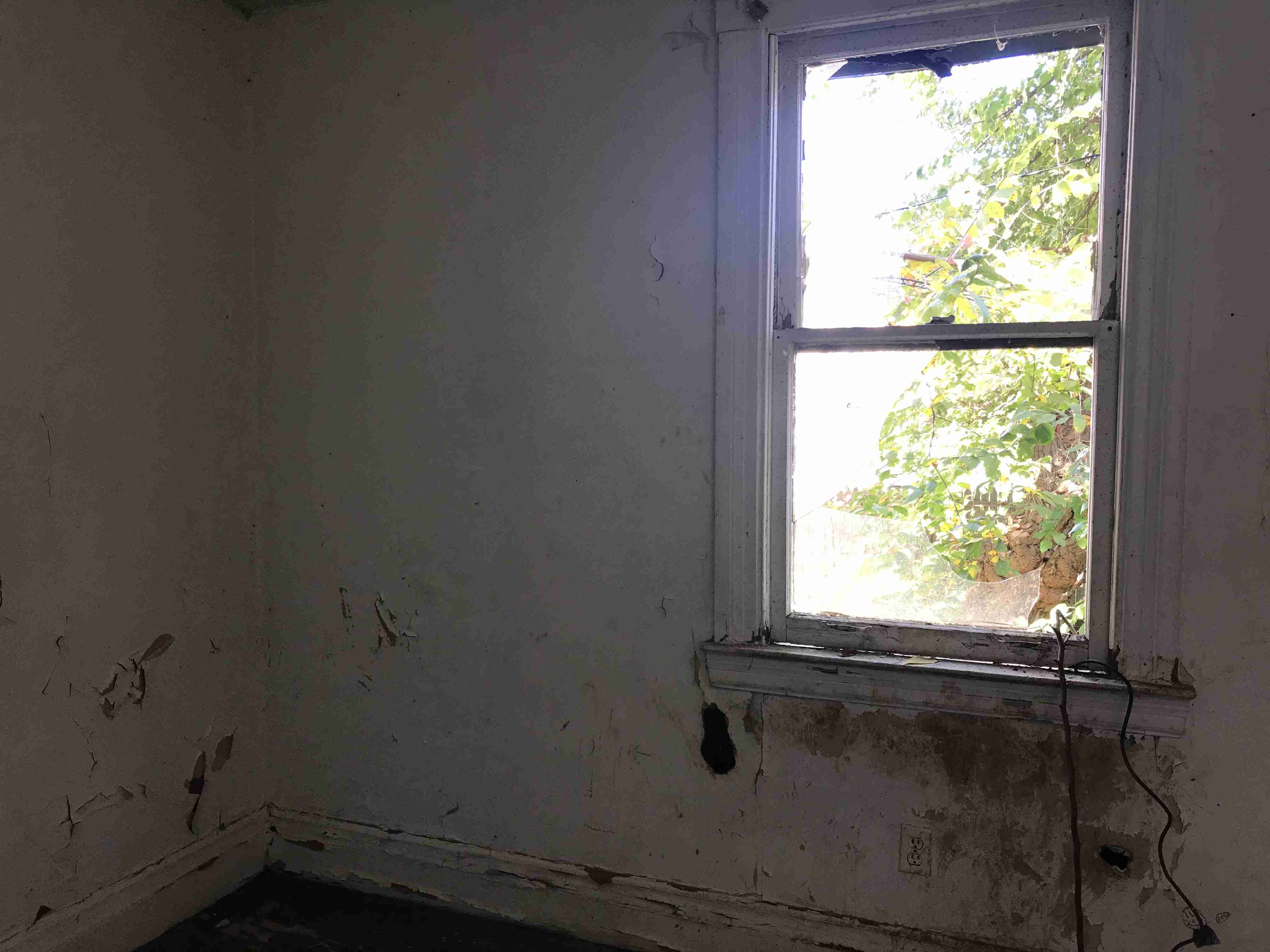 Photo Oct 13, 11 40 18 AM.jpg